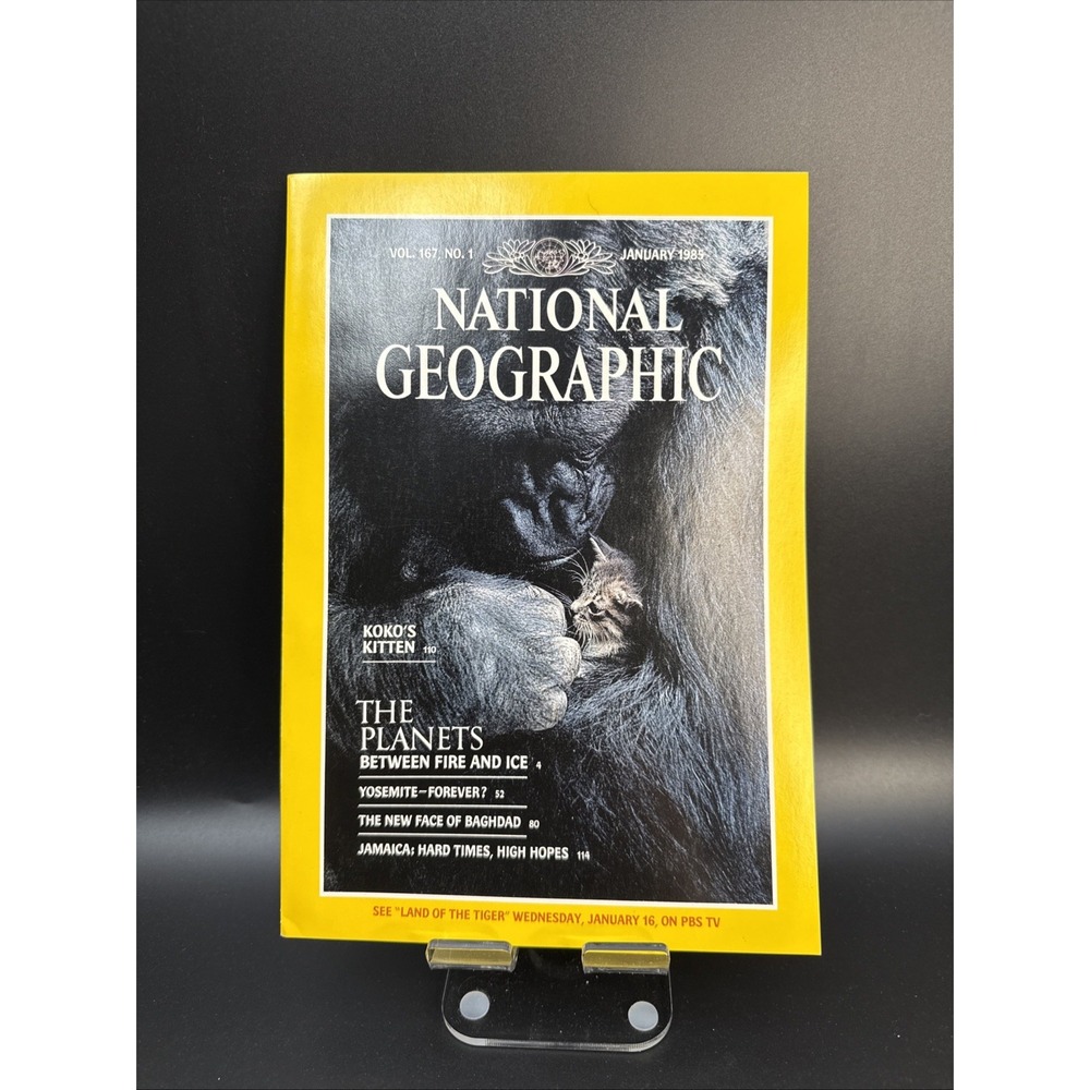 National Geographic January 1985, Koko's Kitten -